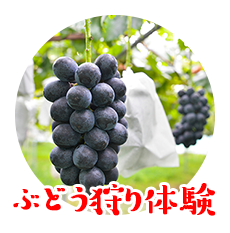 観光農園あかぎおろし